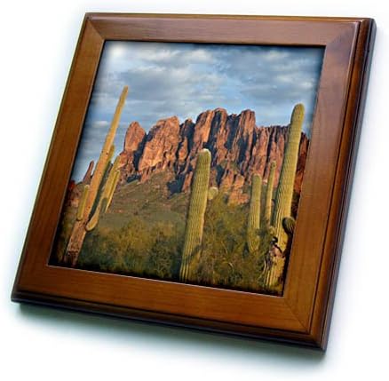 3dRose Saguaros, a Babona Hegyek, Elveszett bolygó Hollandi Állami Park, Arizona Keretes Csempe, 6 x 6